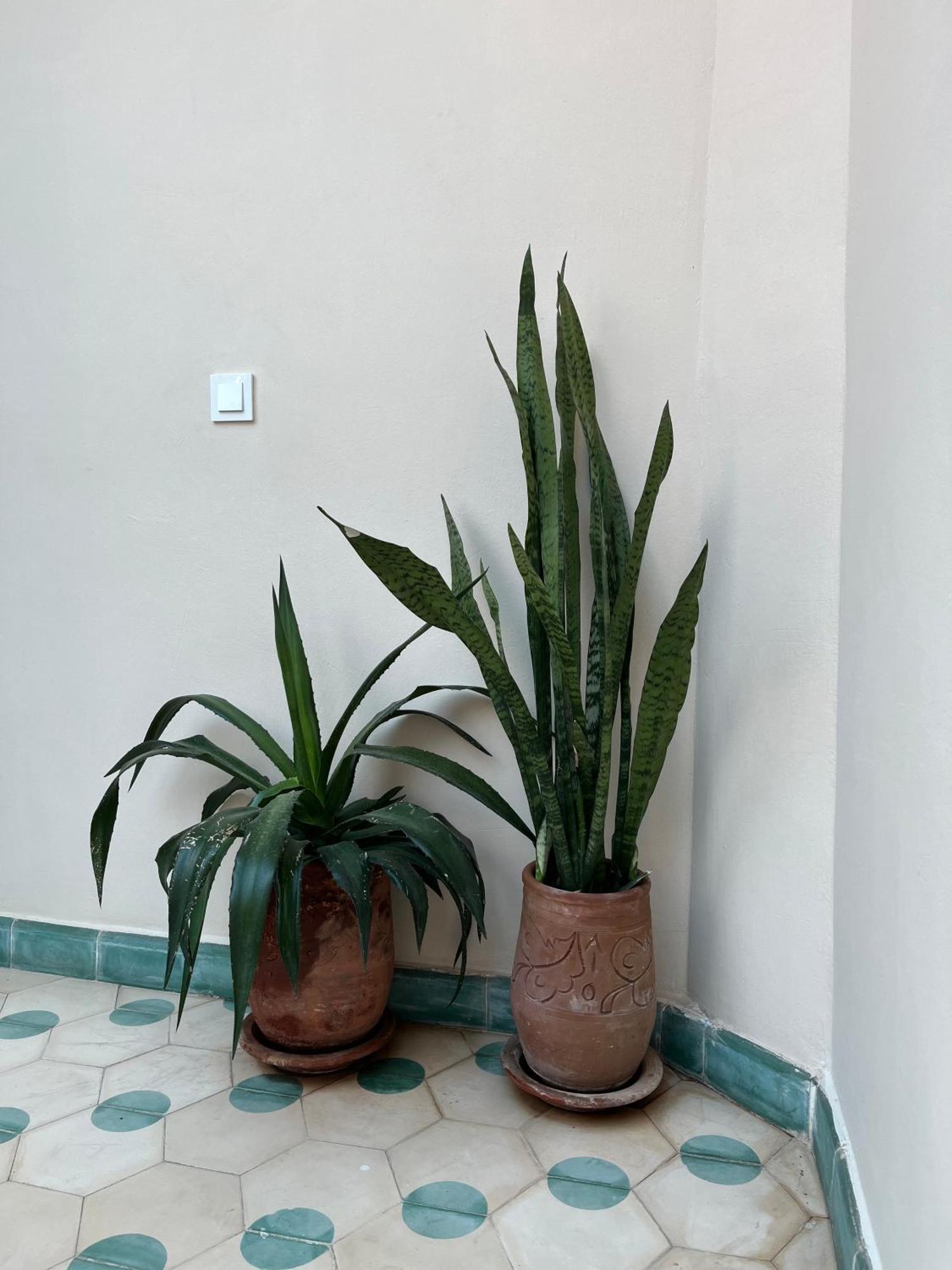 Riad Imndi Marrakesh Esterno foto